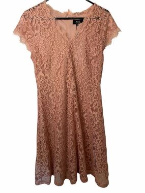 ABS Lace A-Line Dress in Blush Pink NWT